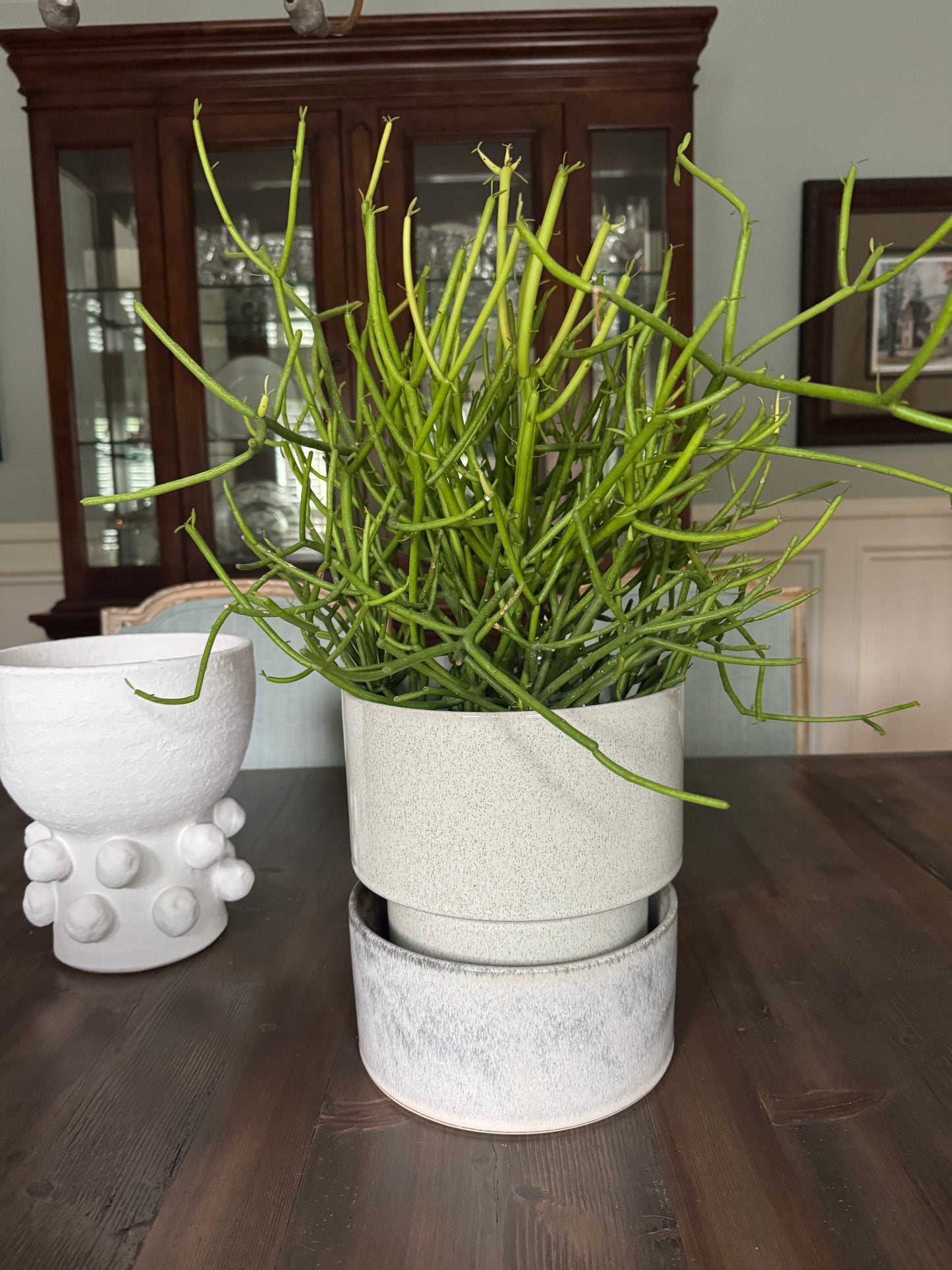Endeavor Pot with saucer