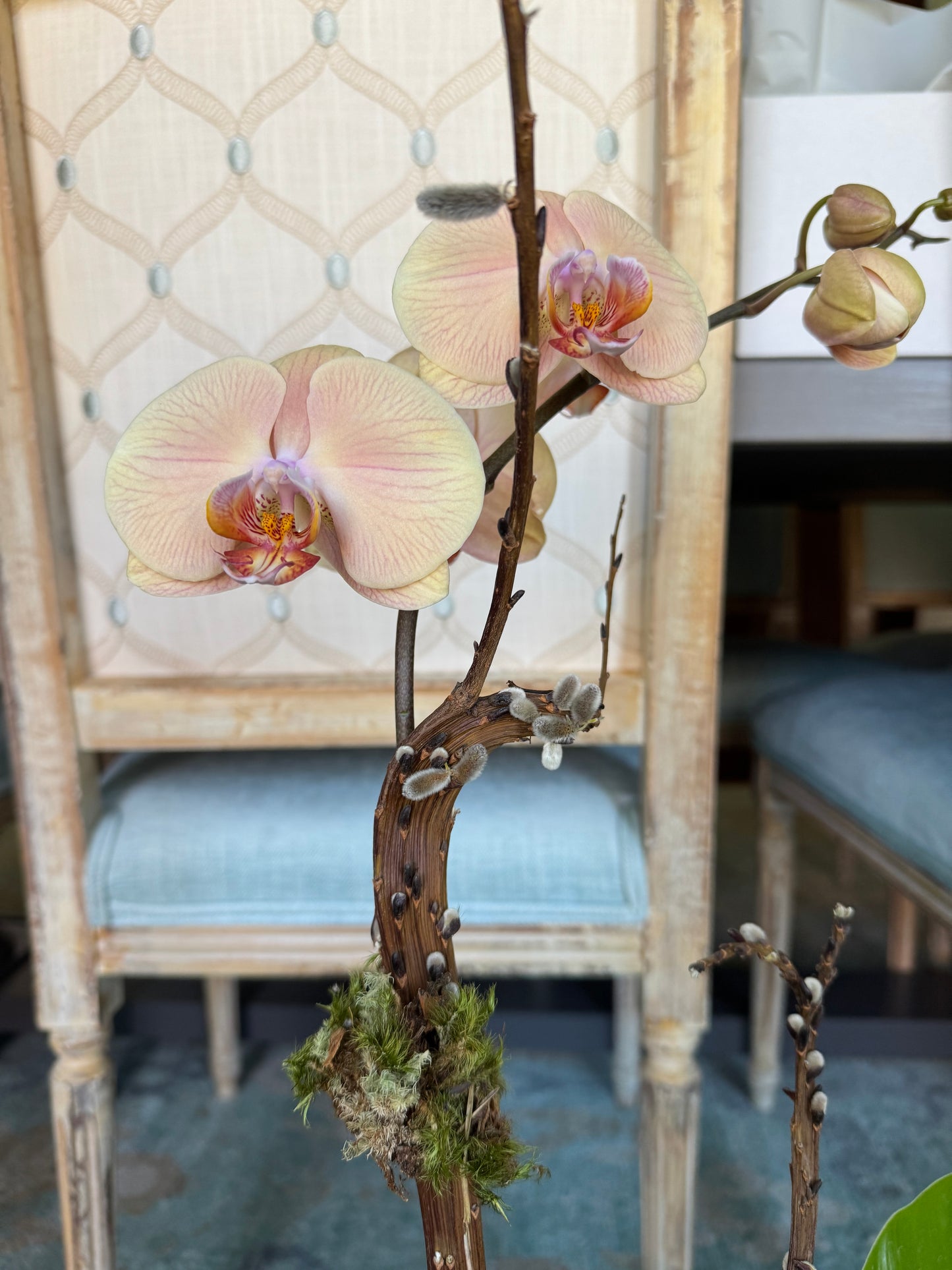 Peach orchid arrangement