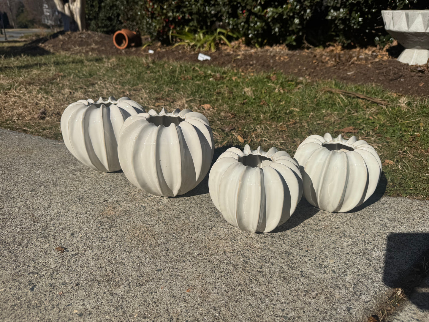 Blecklyn Pot