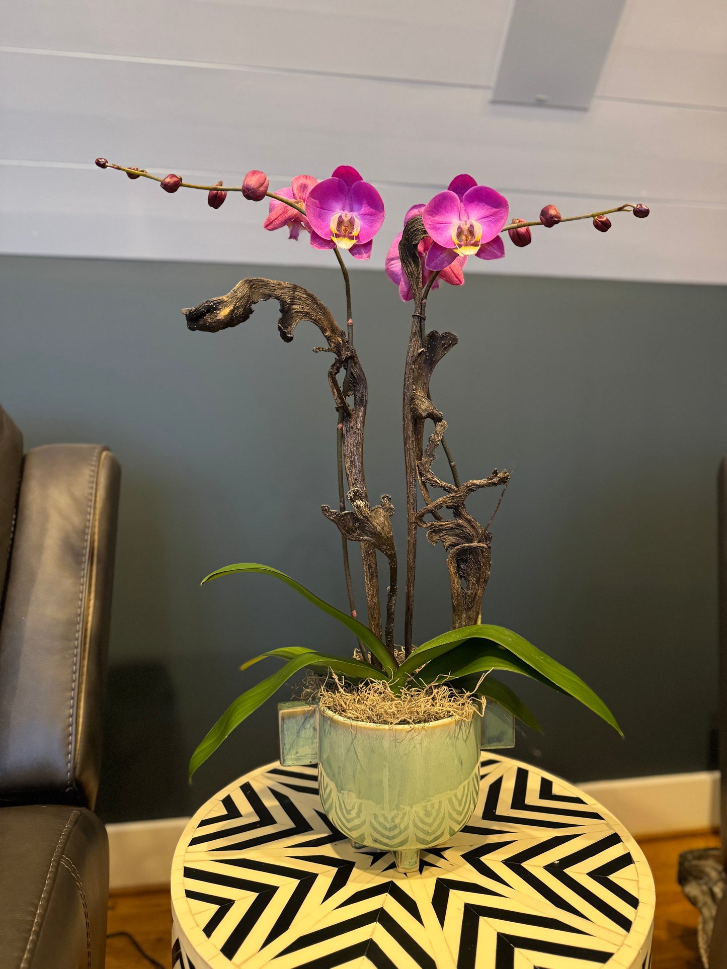 Trothos Pot with orchid