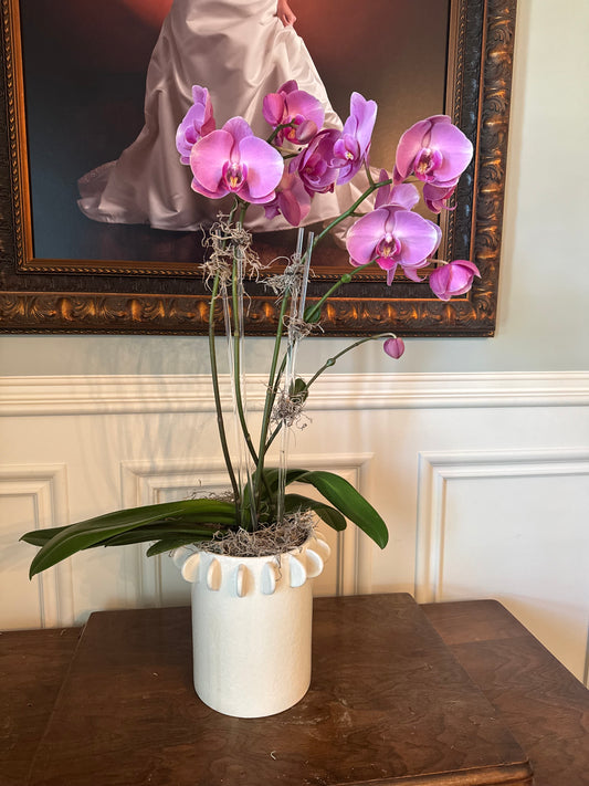 4 stem orchid and vessel