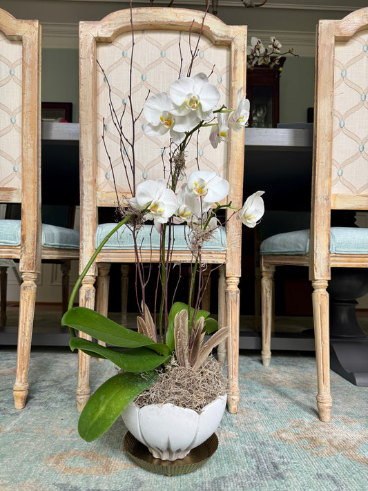 Orchid, tulip vase and stand