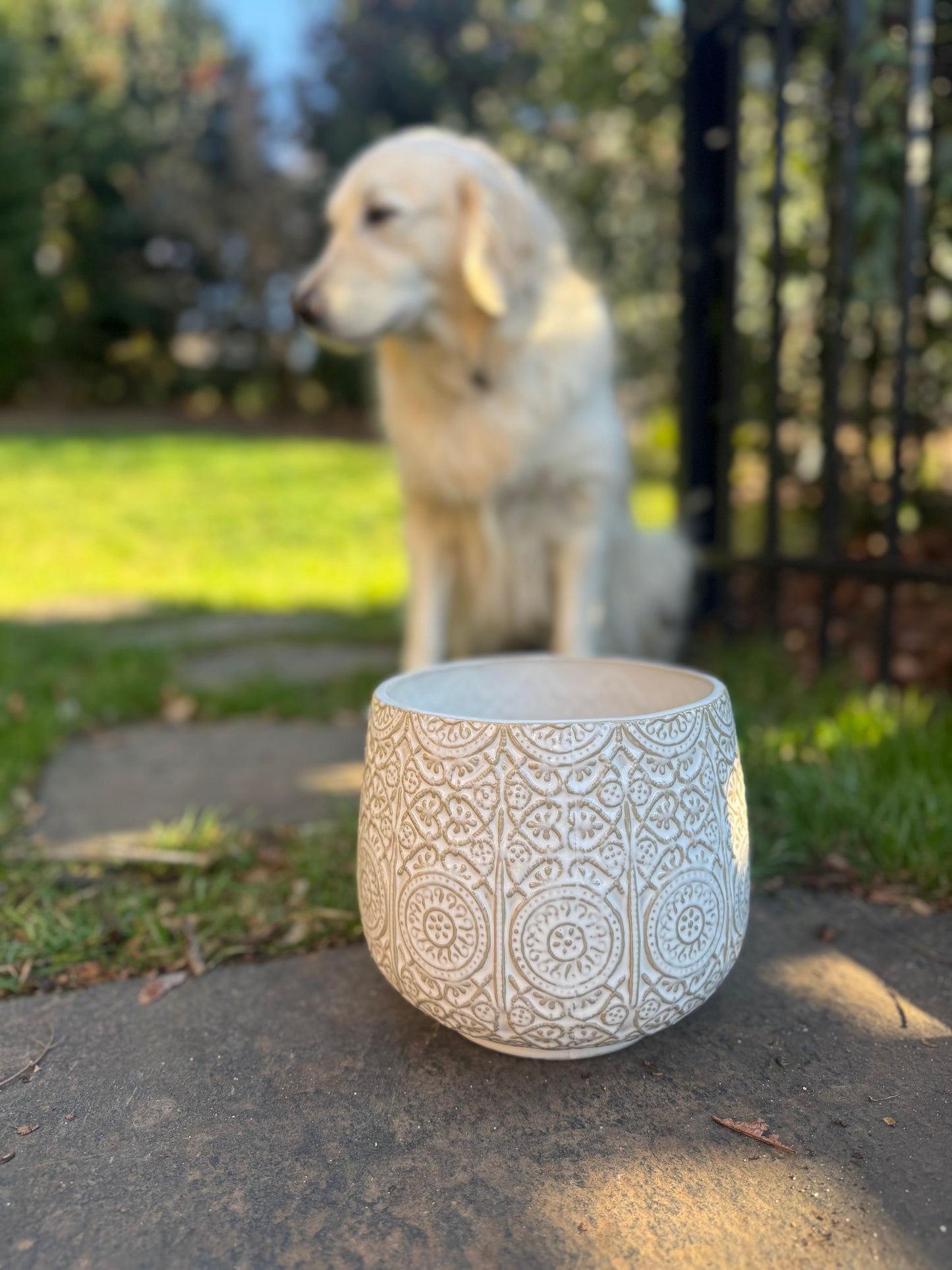 Frances Pot