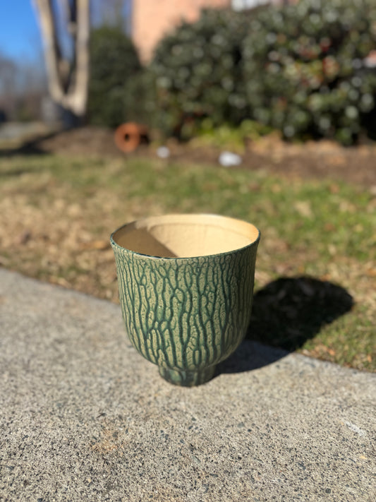 Terrain Beauty